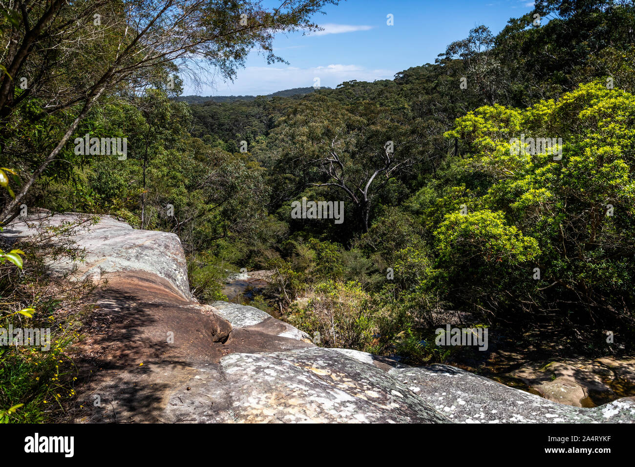 Erhöhte Blick vom Felsen der Australischen Wald Bush an Somersby fällt, NSW, Australien Stockfoto