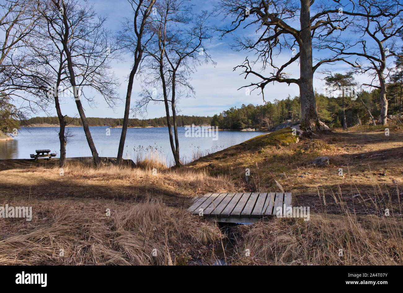 See und Wald, Bjorno Naturreservat, (Bjorno Naturreservat), Stockholm Archipel, Schweden Stockfoto