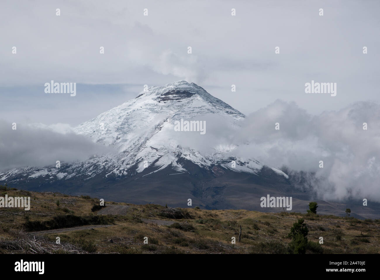 Vulkan Cotopaxi, im Jahr 2016. Stockfoto