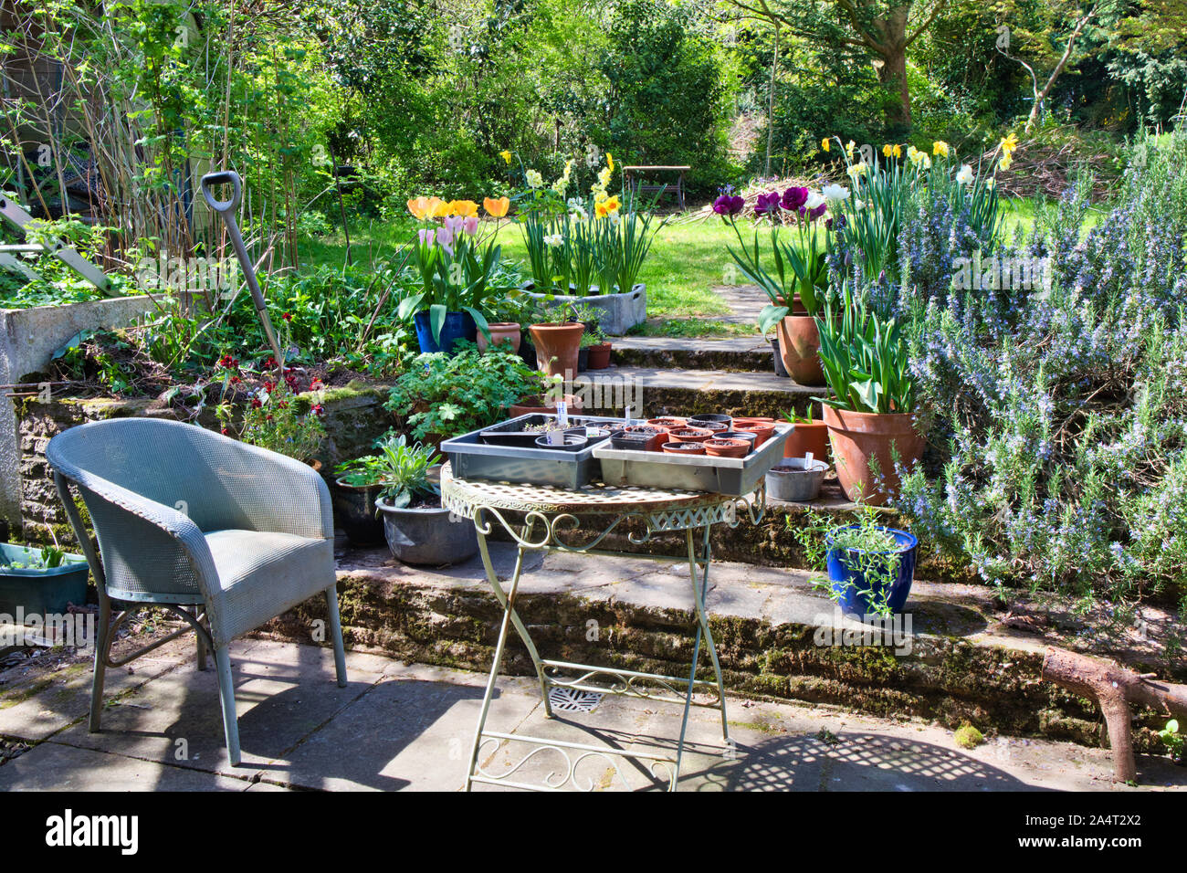 Ruhige, ruhige, entspannte, sonnige Gartenszene mit Tisch und Stuhl, Pflanzen, Gabel und Blumen, Malvern Worcestershire, England Stockfoto