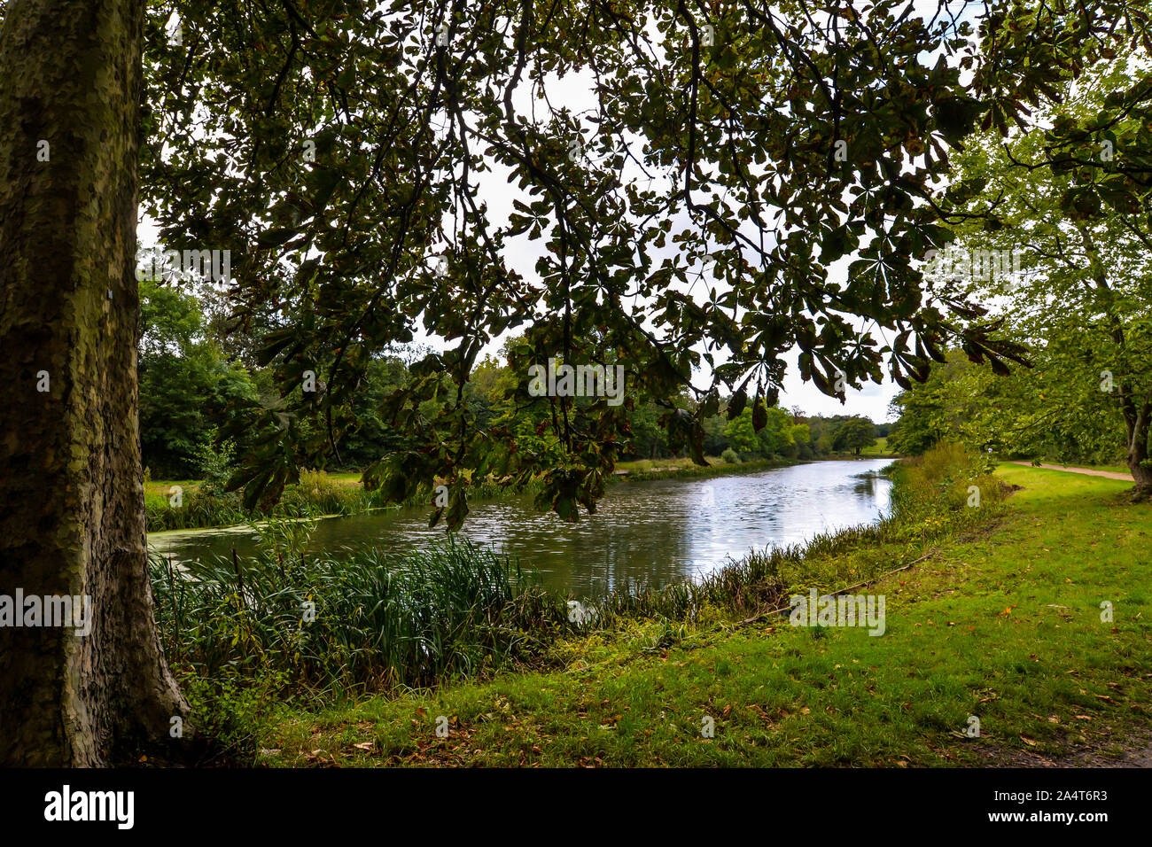 Wanstead Park im Osten von London - Großbritannien Stockfoto