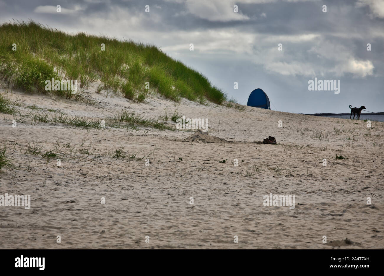 Zelt, Schuhe und Hund allein am Strand Stockfoto