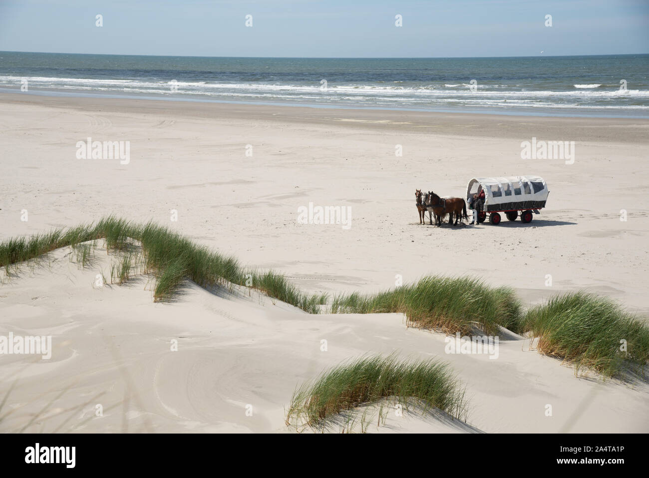 Pferdewagen am Strand auf der Insel Terschelling in Holland Stockfoto