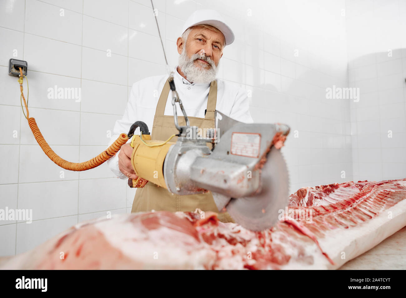 Elektrische Messer zum Schneiden von Schweinefleisch Schlachtkörper. Ältere Metzger schneiden Schweinefleisch posiert, bei Camera holding Gerät suchen. Arbeitnehmer tragen in weiße Uniform, Kappe und braune Schürze. Stockfoto