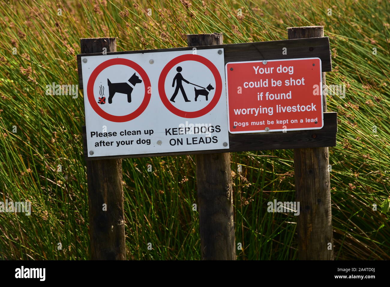 Zwei hund Warnzeichen in der Landschaft Stockfoto