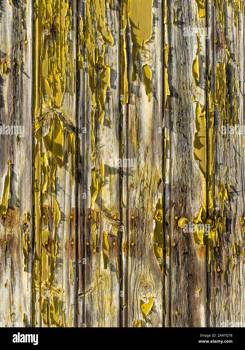 Abblätternde Farbe auf alte Tür - Le Petit Pressigny, Frankreich. Stockfoto