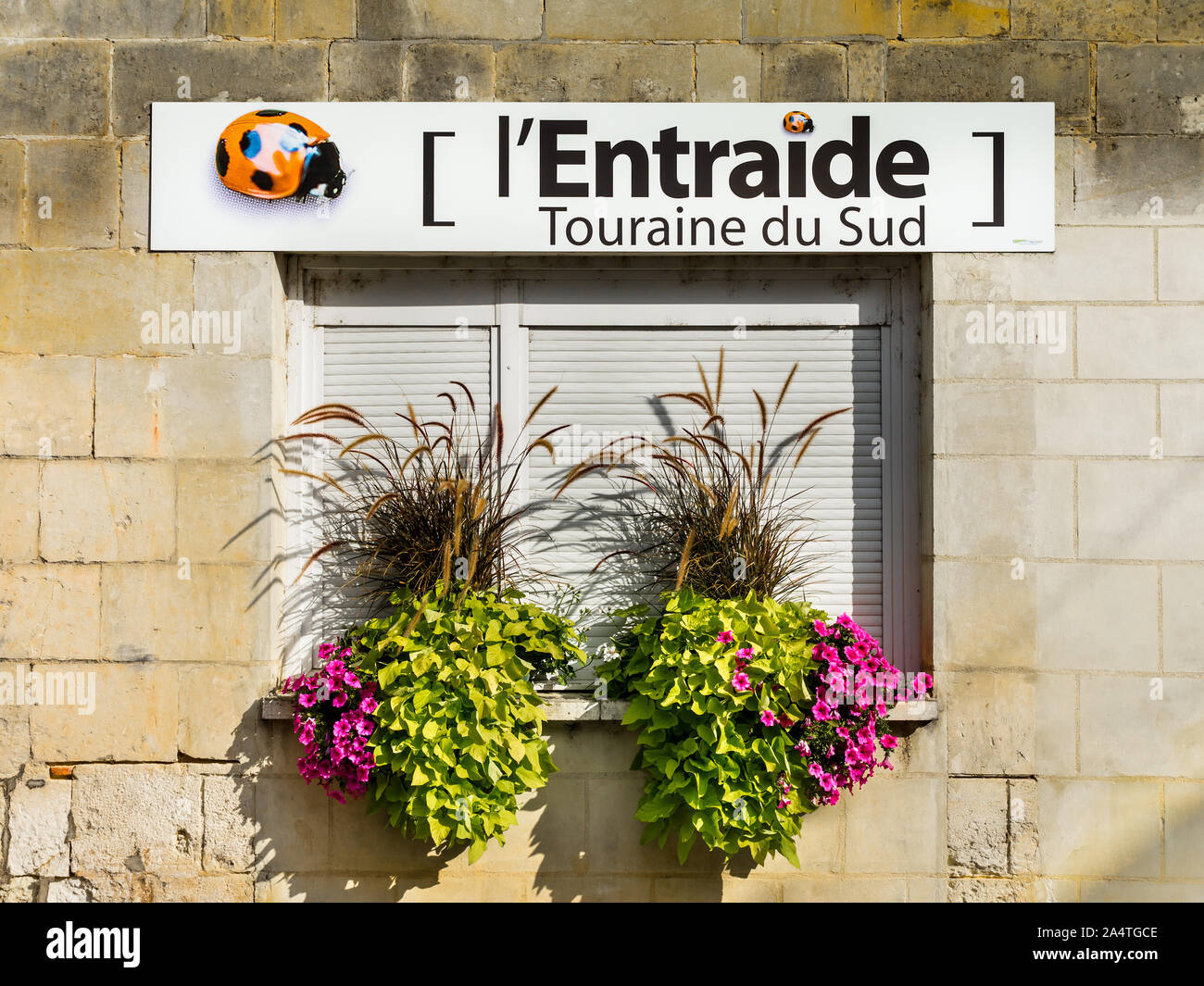 Blühende Pflanzen und Gräser auf kommerziellen Fensterbank - Frankreich. Stockfoto