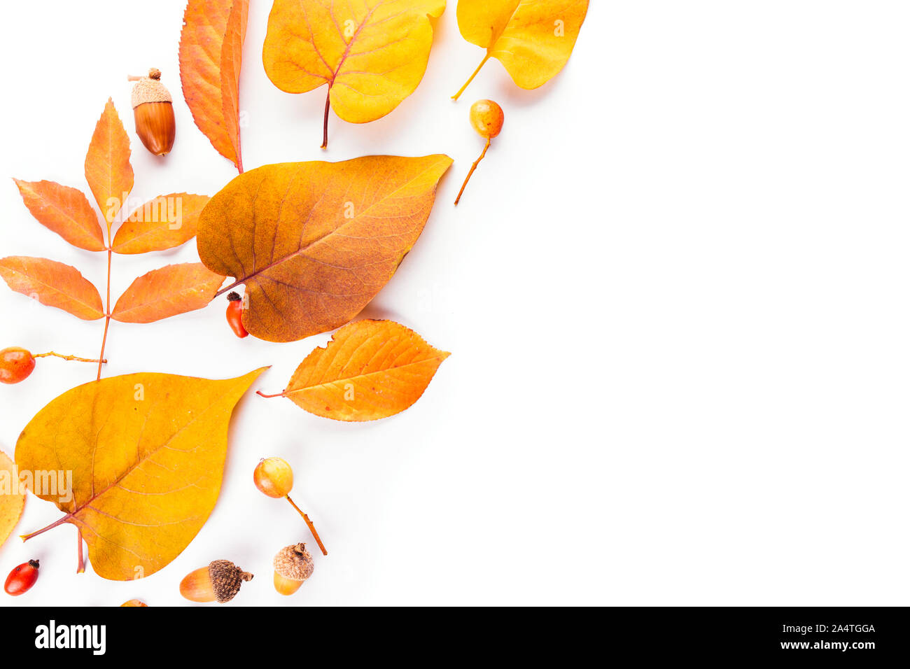 Herbst Herbst Blätter. Flach, Ansicht von oben. von verschiedenen Bäumen, gelb und orange, rose Hip Stockfoto