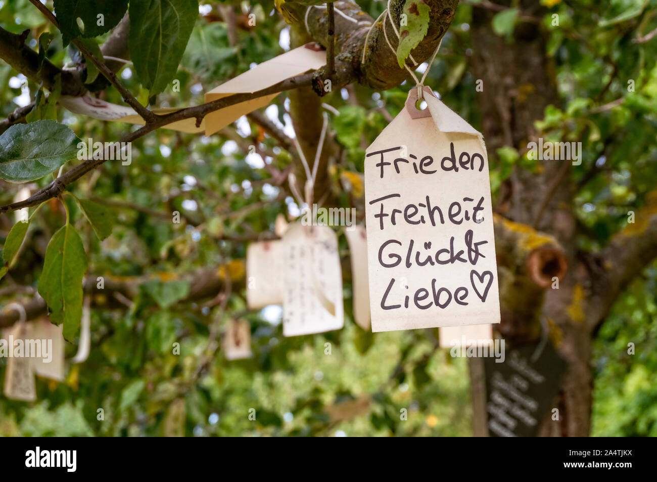 Label mit dem Wunsch nach Frieden, Freiheit, Glück und Liebe hängt in einem Baum Stockfoto