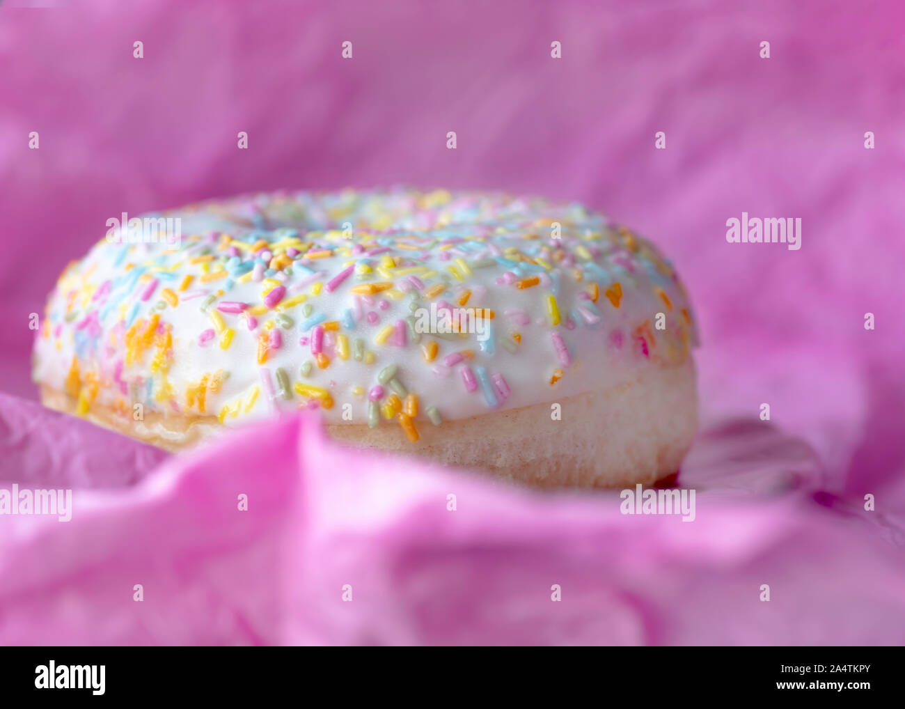 Makro Kopf auf Abbild eines einzigen Donut mit bunten Streuseln aus rosa Hintergrund für Kopie Raum Stockfoto