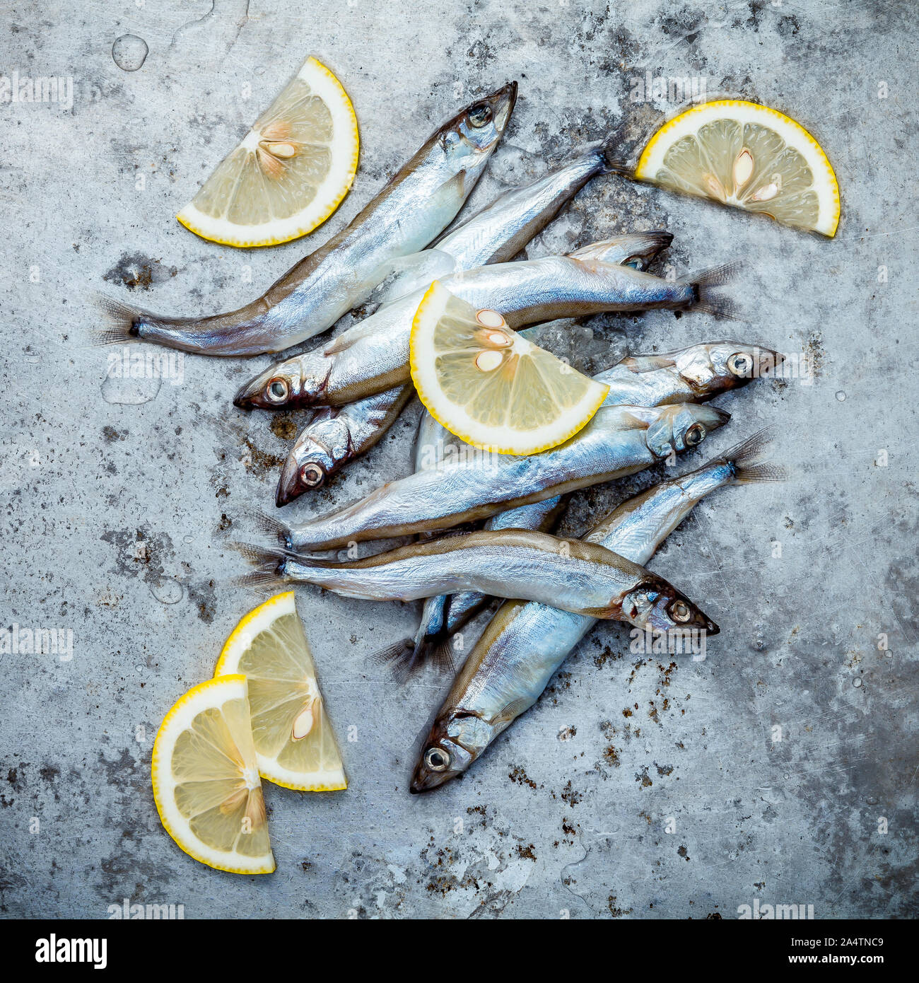 Frische Fische fangen Shishamo voll Eier. Shishamo Fisch ist Fisch für die japanische Küche kochen Tempura. Frische Shishamo Fisch lockt Käufer an der frischen Stockfoto