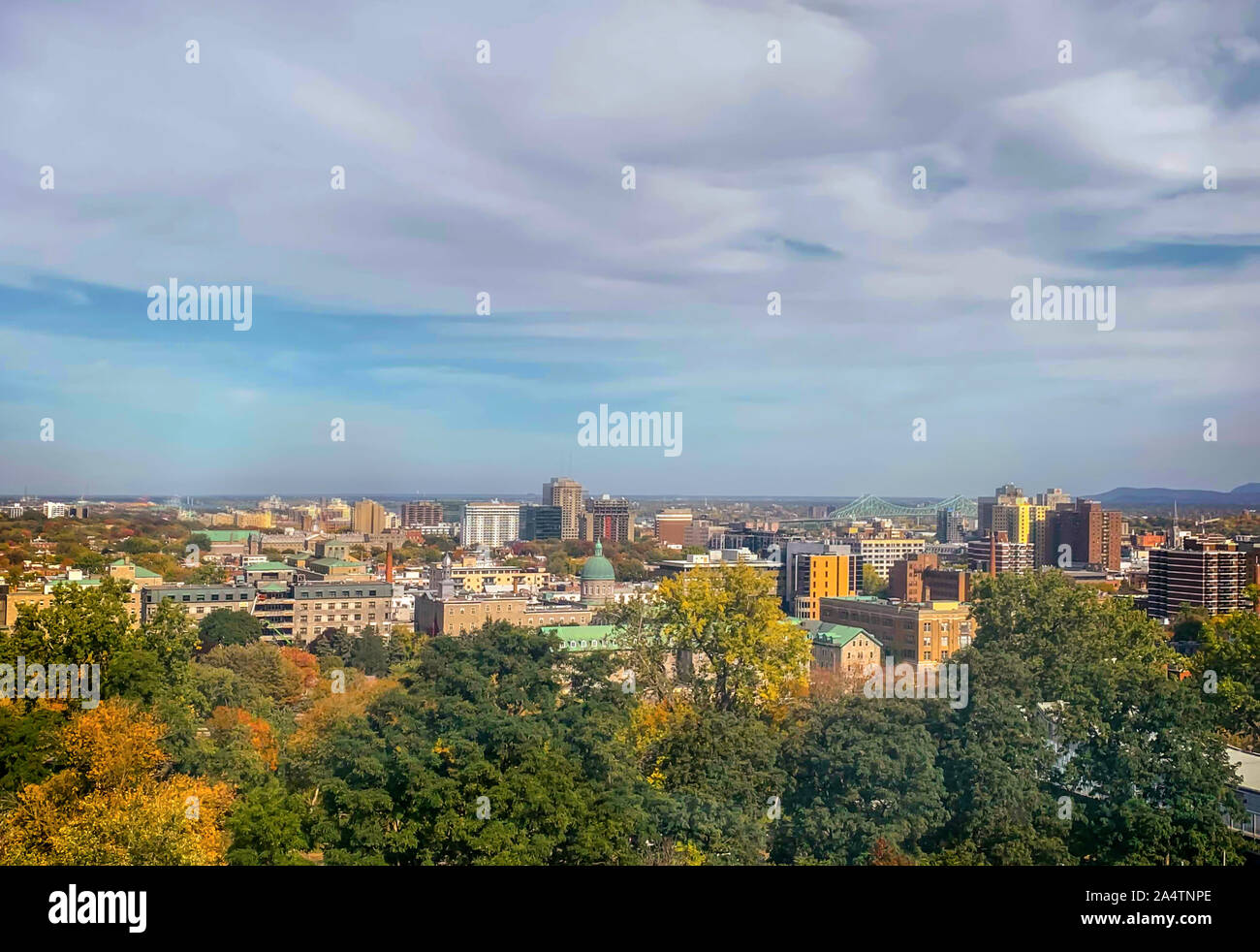 Luftaufnahme von Montreal Downtown mit Orangenbäumen im Herbst in Québec, Kanada Stockfoto