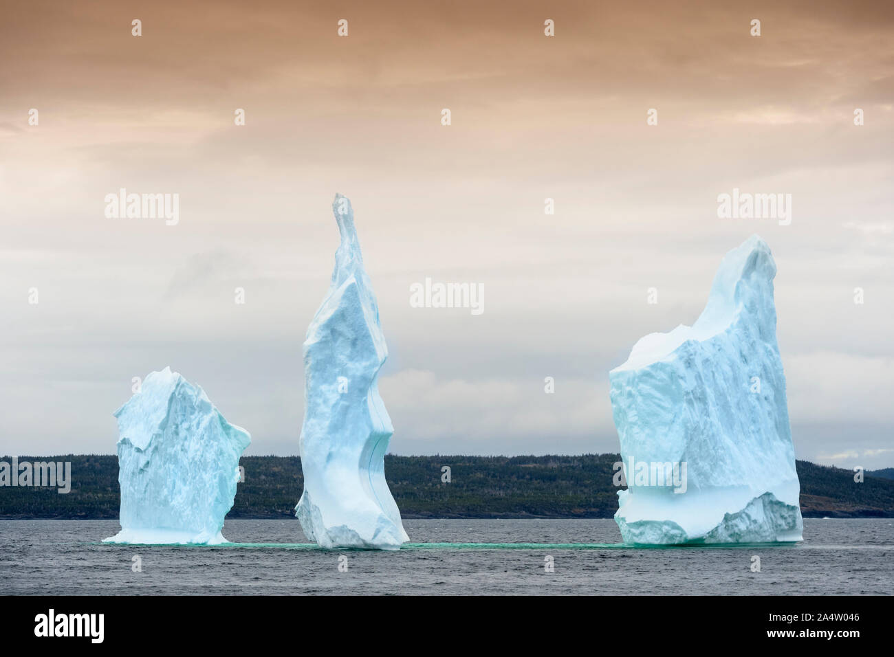 Eisberg ein Boden für die Küste, Bonavista Bay, Bonavista Peninsula, Armherst Cove, Neufundland und Labrador, Kanada Stockfoto