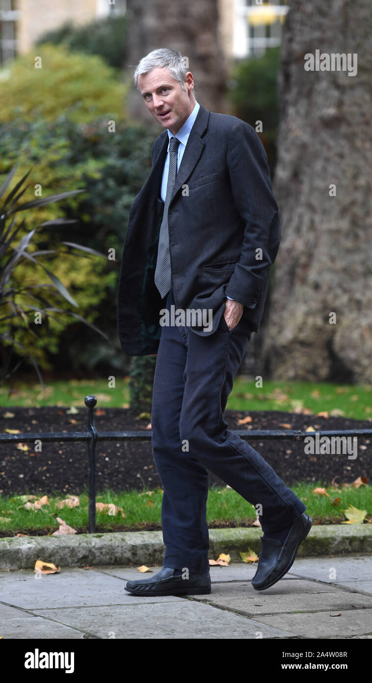 Staatsminister Zac Goldsmith kommt an 10 Downing Street, London, vor einer Kabinettssitzung. Stockfoto