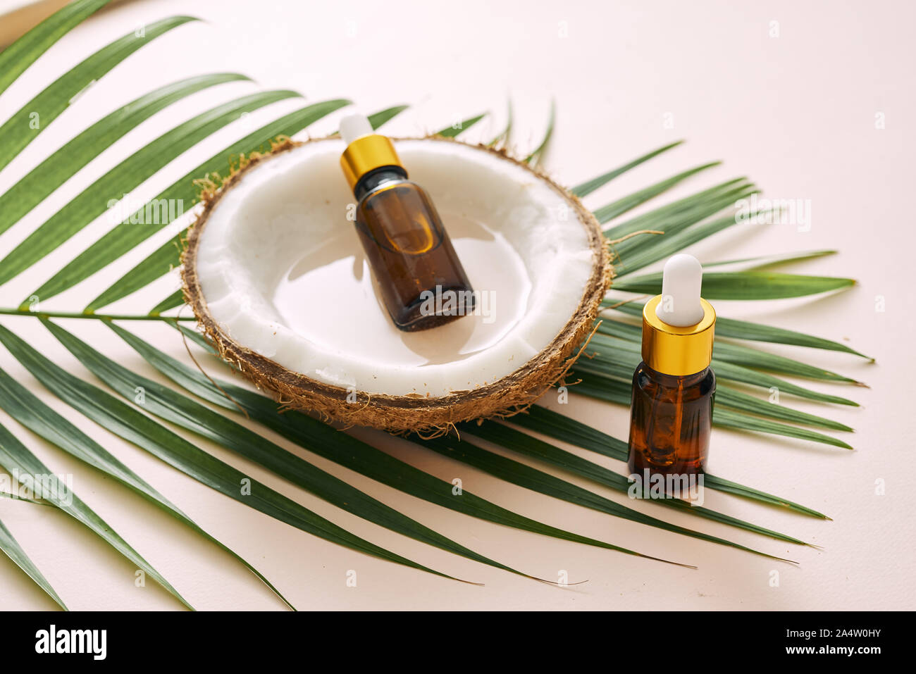 Kokosöl in der Flasche mit offenen Muttern und Zellstoff im Glas, grün palm leaf Hintergrund. Natürliche kosmetische Produkte. Stockfoto