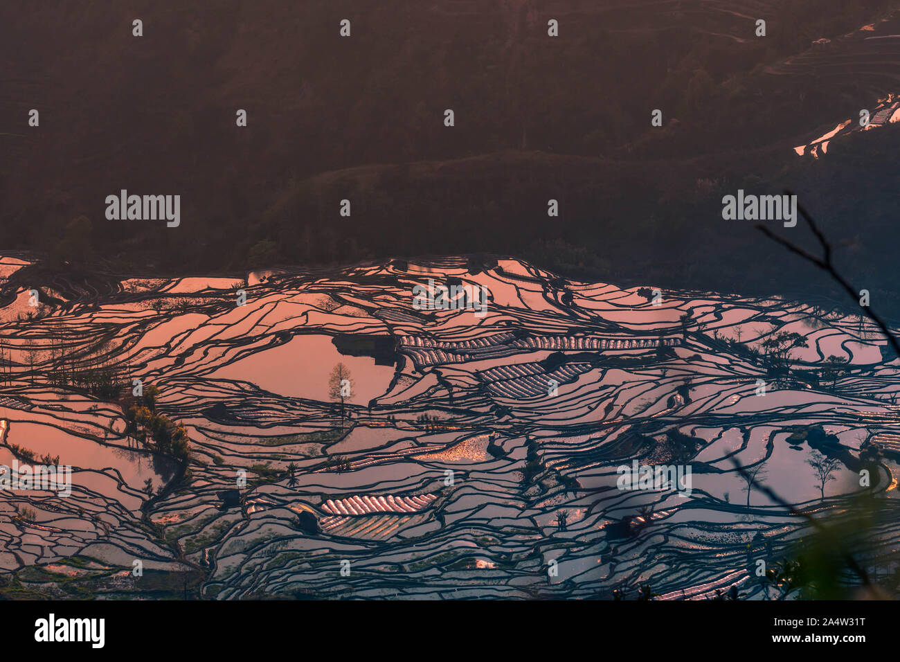 Hani Terraced Rice Fields von YuanYang, China während der Goldenen Stunde. Stockfoto