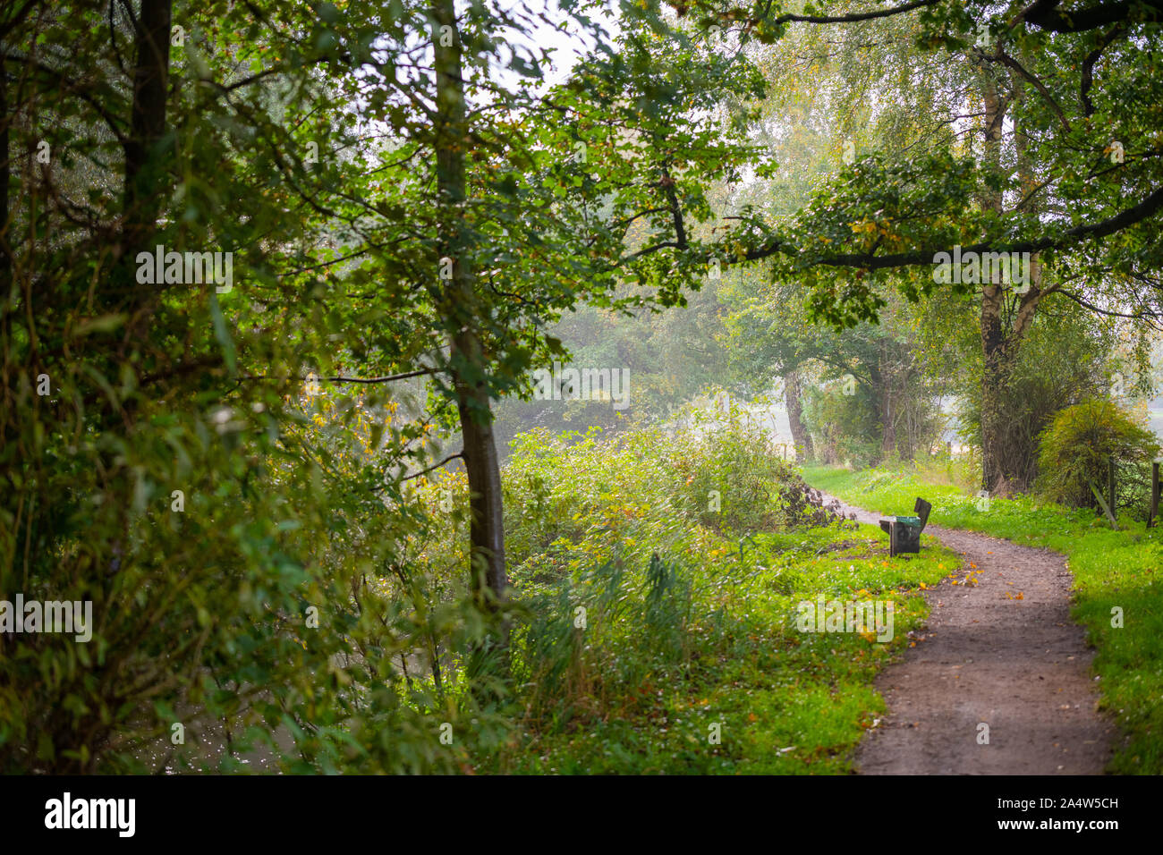 An einem regnerischen Tag, die Sonne kommt heraus in der Nähe eines Flusses Stockfoto