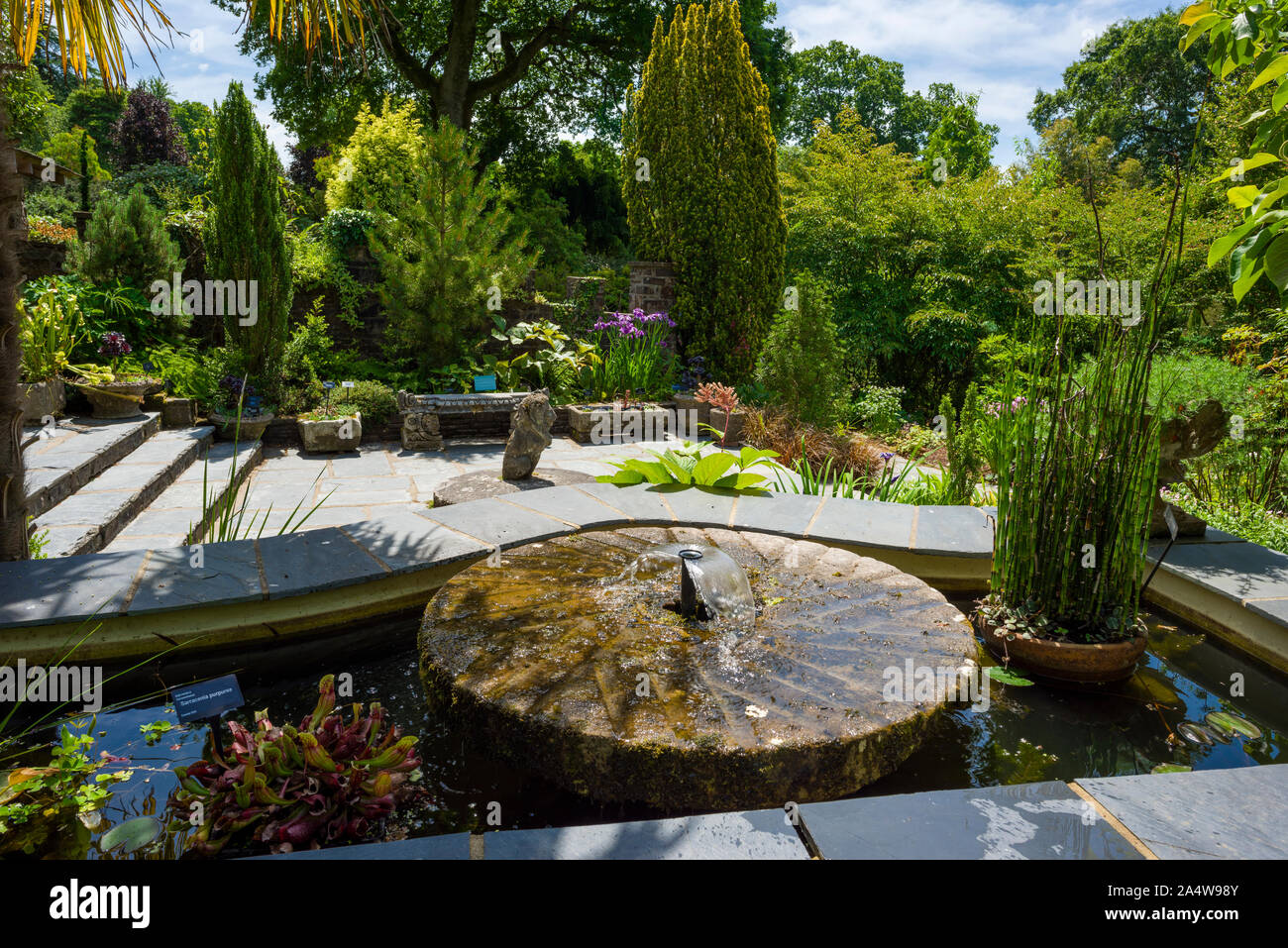RHS Garden Rosemoor im Sommer in der Nähe von Great Torrington, Devon, England. Stockfoto