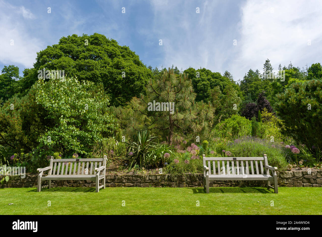 RHS Garden Rosemoor im Sommer in der Nähe von Great Torrington, Devon, England. Stockfoto