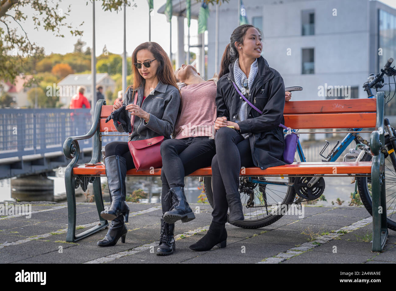 Freundinnen auf einer Bank, Menningarnott Feier, Reykjavik, Island Stockfoto