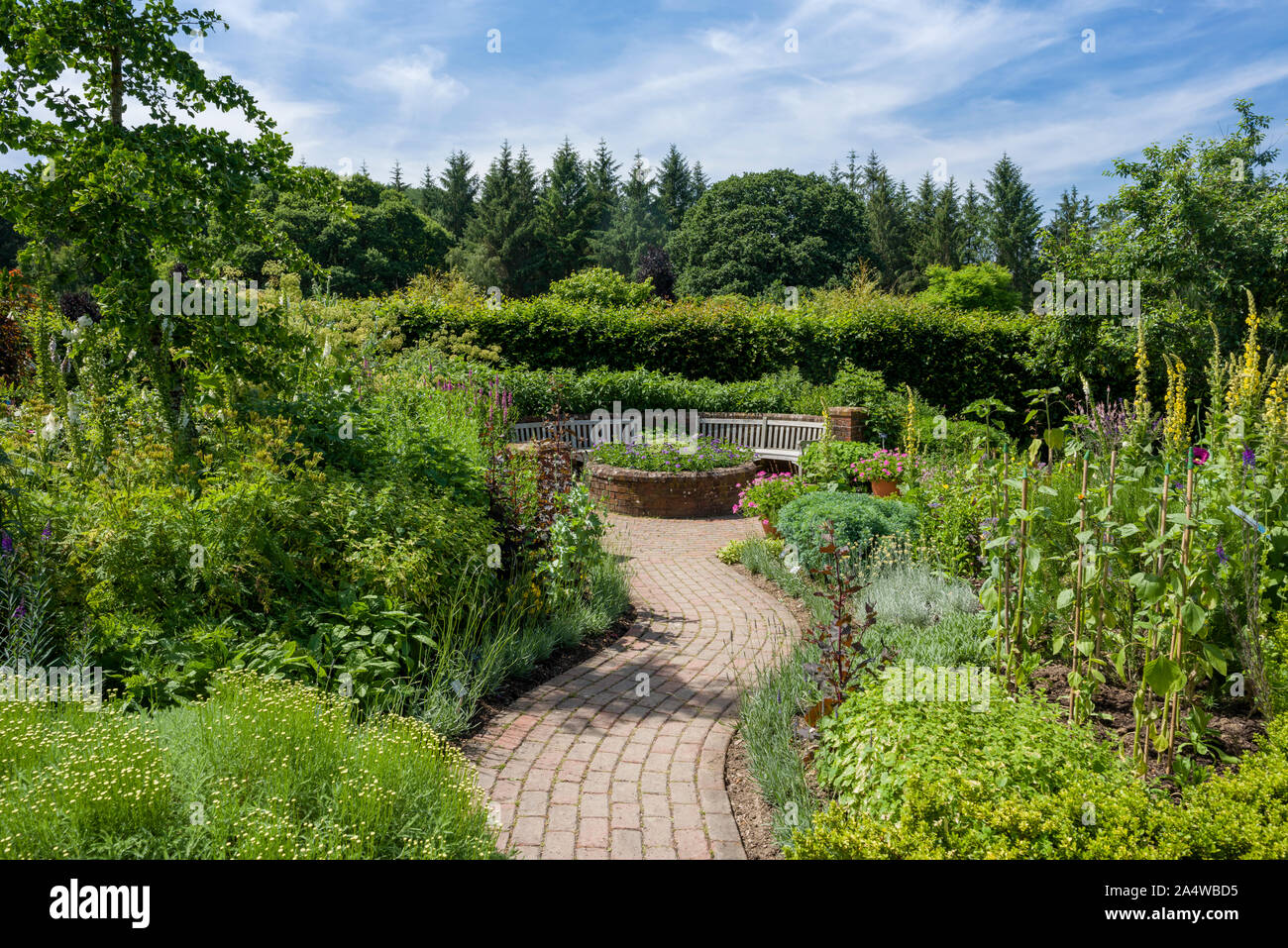 Der kräutergarten an der RHS Rosemoor im Sommer in der Nähe von Great Torrington, Devon, England. Stockfoto