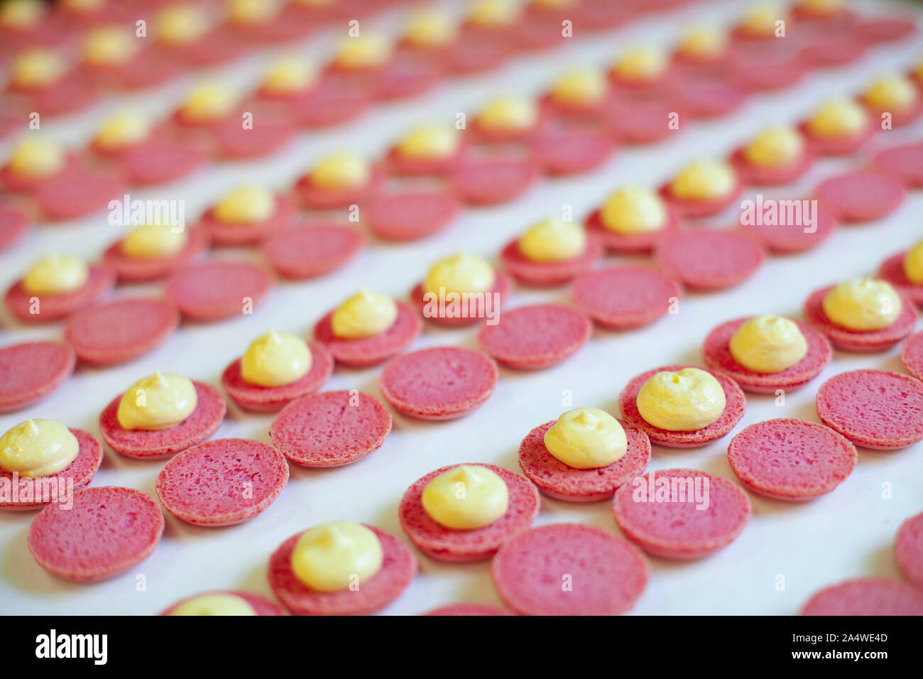 Die Vorbereitung der französischen cookies Makronen Stockfoto