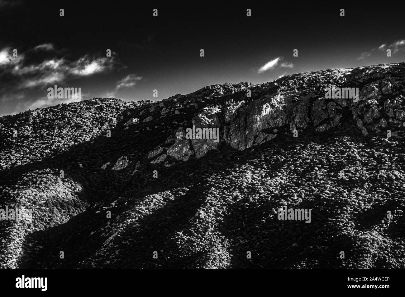 Baumwurzeln mit tollen Texturen gegen Bergkette Stockfoto