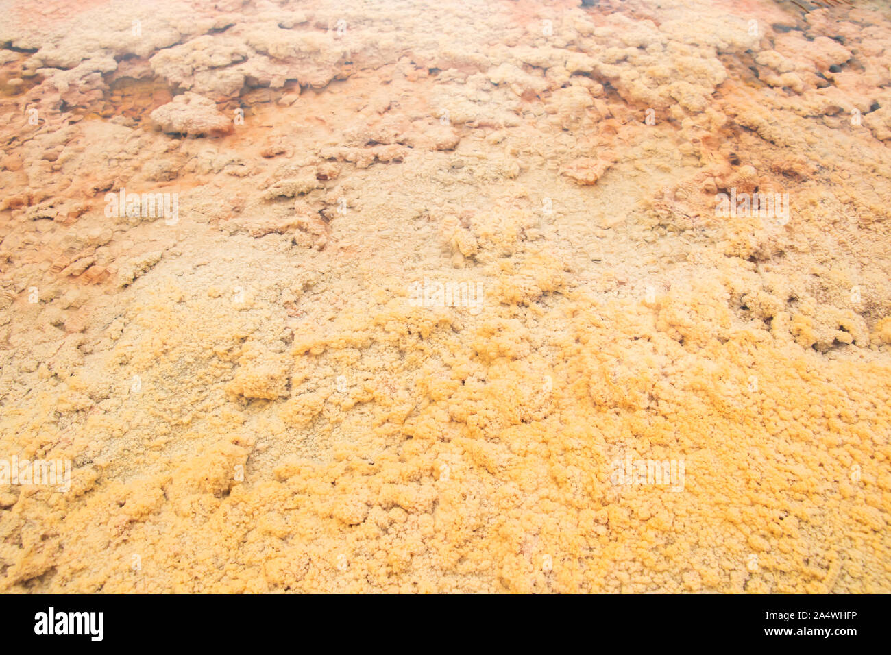 Heißes Wasser über 75 °C und die bunten Erde. Stockfoto