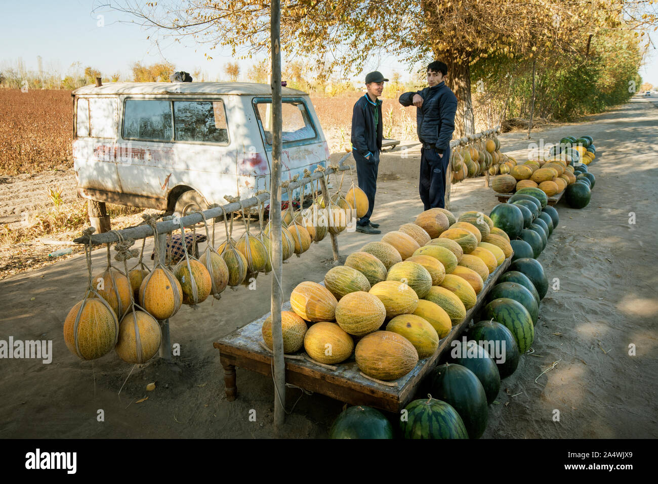 Melonen Anbieter. Kyzylkum Wüste in der Nähe von Fluss Amudarja. Die köstlichen usbekischen Melonen waren bereits durch die mittelalterliche Reisende Ibn Battuta gelobt. Uzbekist Stockfoto