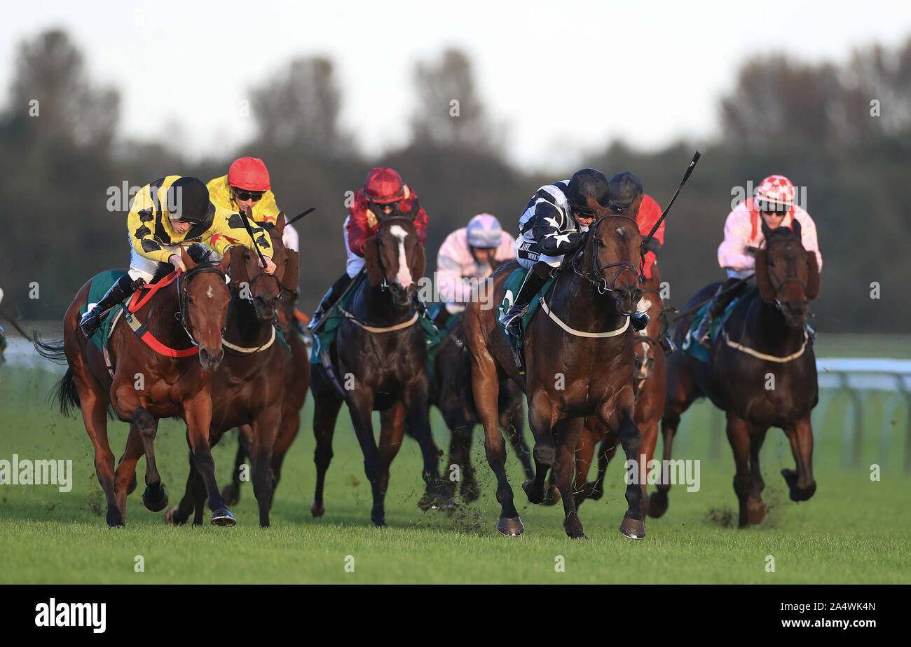 Wrenthorpe (schwarze und weiße Streifen) geritten von Graham Lee gewinnt der Harlow Holz Handicap in Nottingham Racecourse. Stockfoto