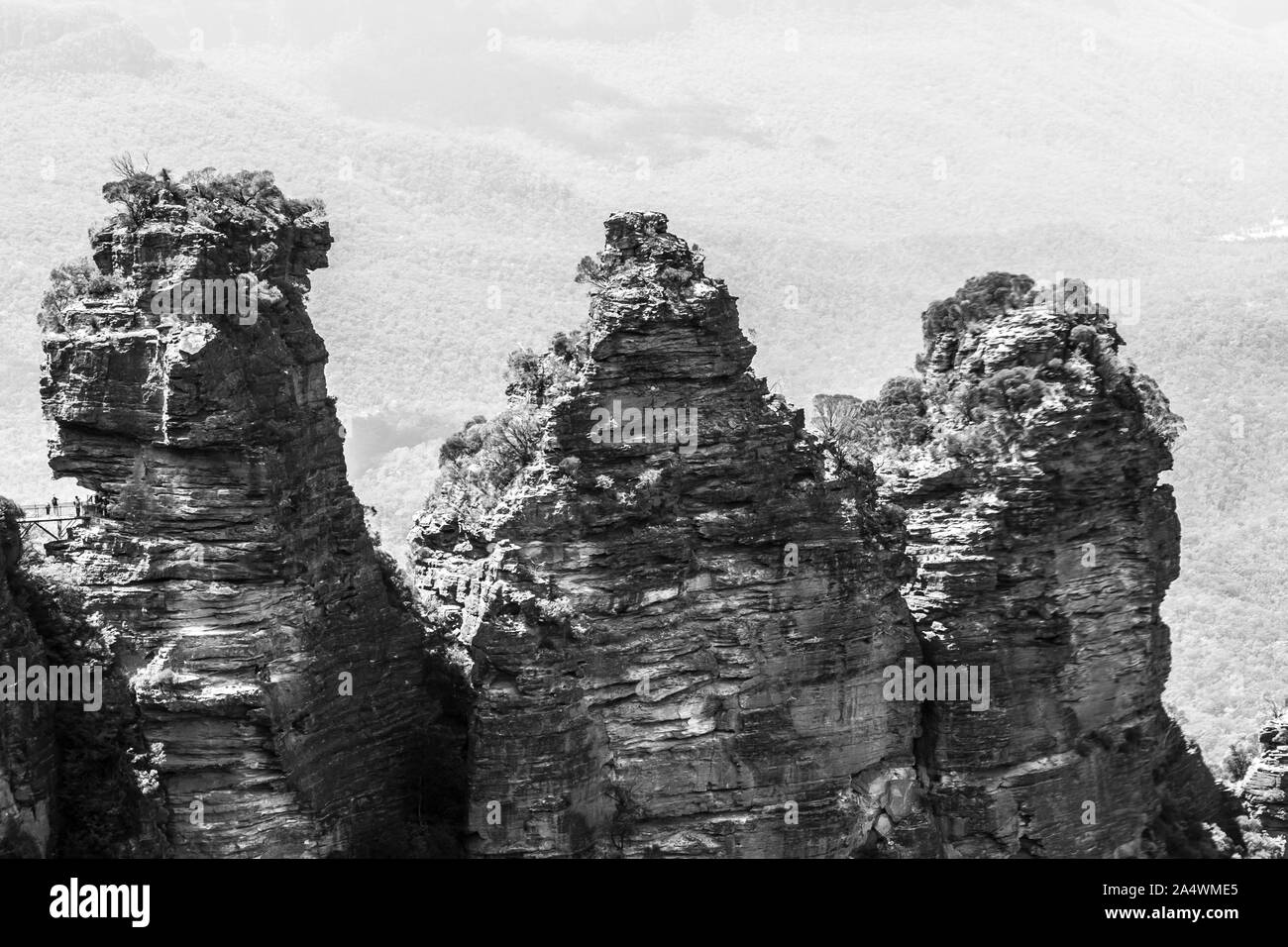 Schwarz und Weiß, in der Nähe der Felsformation "Drei Schwestern". Blue Mountains. Echo Point Katoomba, New South Wales, Australien Stockfoto