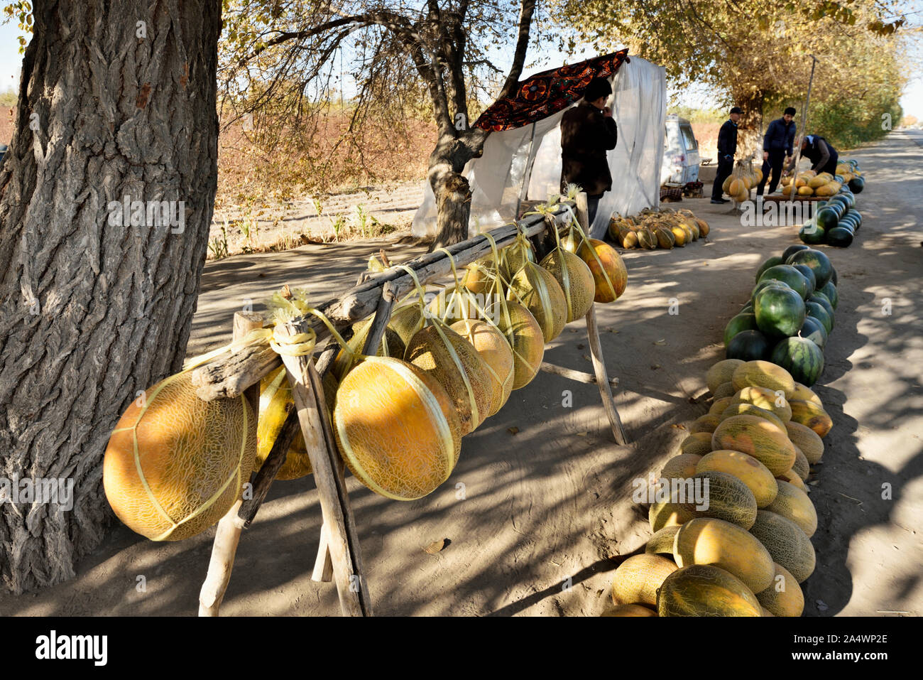 Melonen Anbieter. Kyzylkum Wüste in der Nähe von Fluss Amudarja. Die köstlichen usbekischen Melonen waren bereits durch die mittelalterliche Reisende Ibn Battuta gelobt. Uzbekist Stockfoto