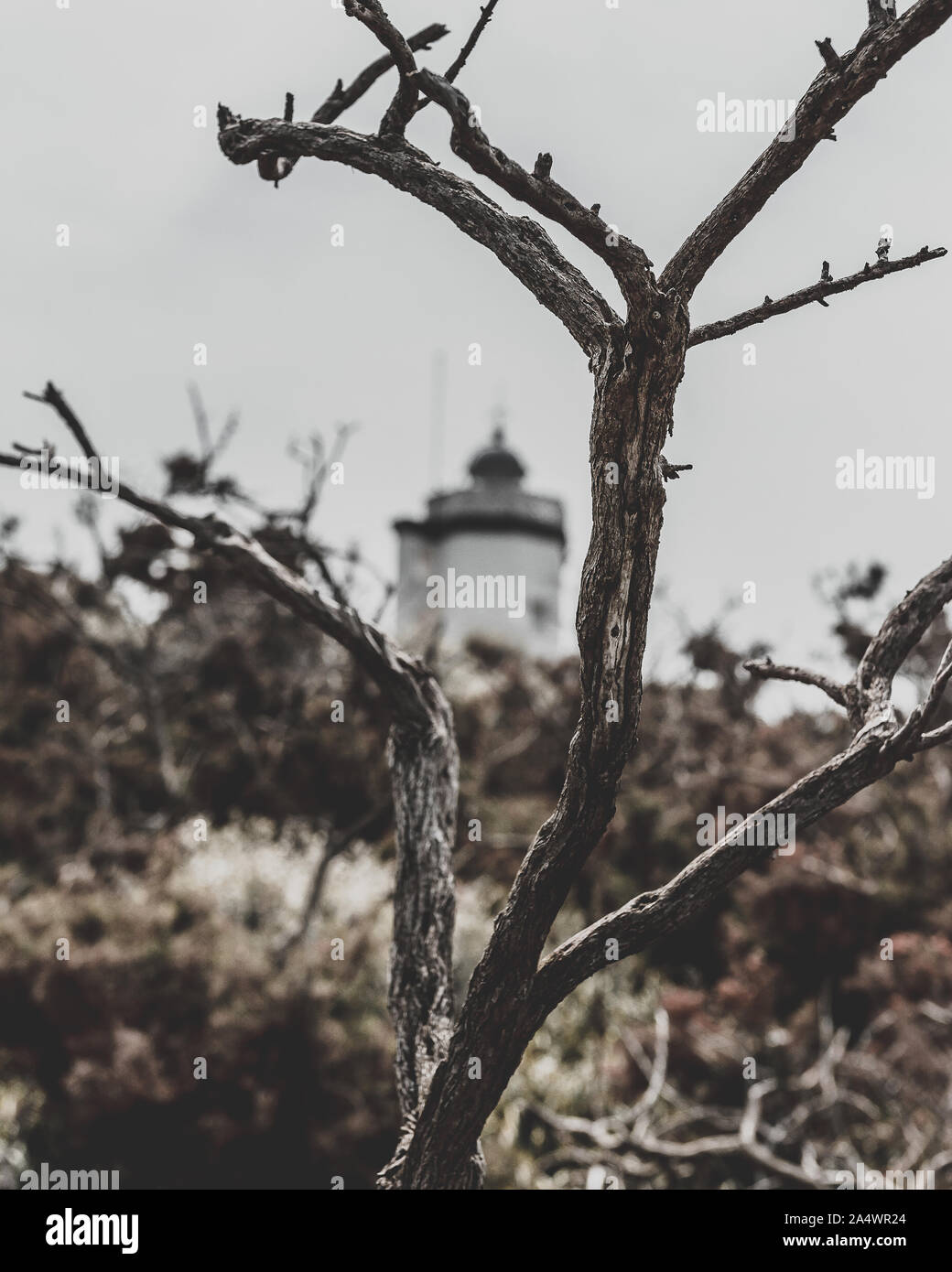 Kleinen weißen Leuchtturm an der Küste für ein paar Tage, an der galizischen Küste von Mera in A Coruña. Stockfoto Kleinen weißen Leuchtturm an der Küste für ein paar Tage, an der galizischen Küste von Mera in A Coruña. Stockfoto
