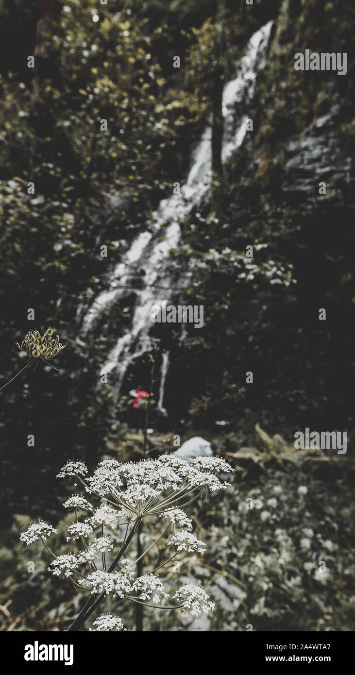 Wasserfall von hortas, mit Moody Aspekt Stockfoto Wasserfall von hortas, mit Moody Aspekt Stockfoto