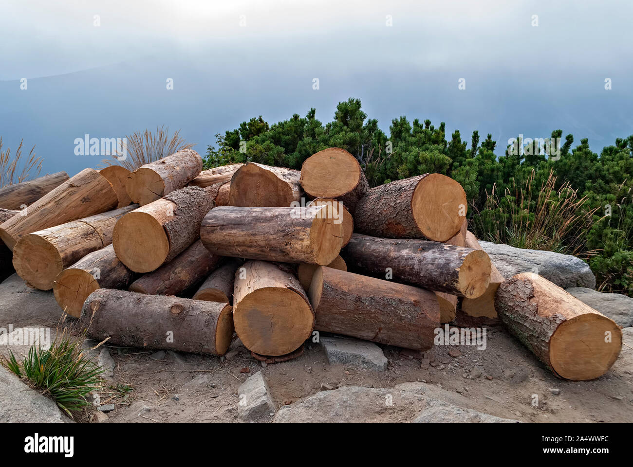 Holz in den Bergen; Stockfoto