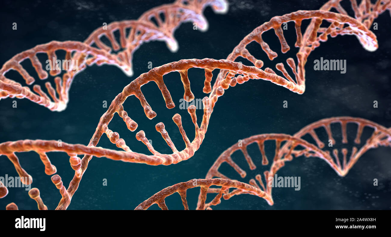 DNA-Stränge spiralförmig auf dem dunklen Hintergrund Stockfoto