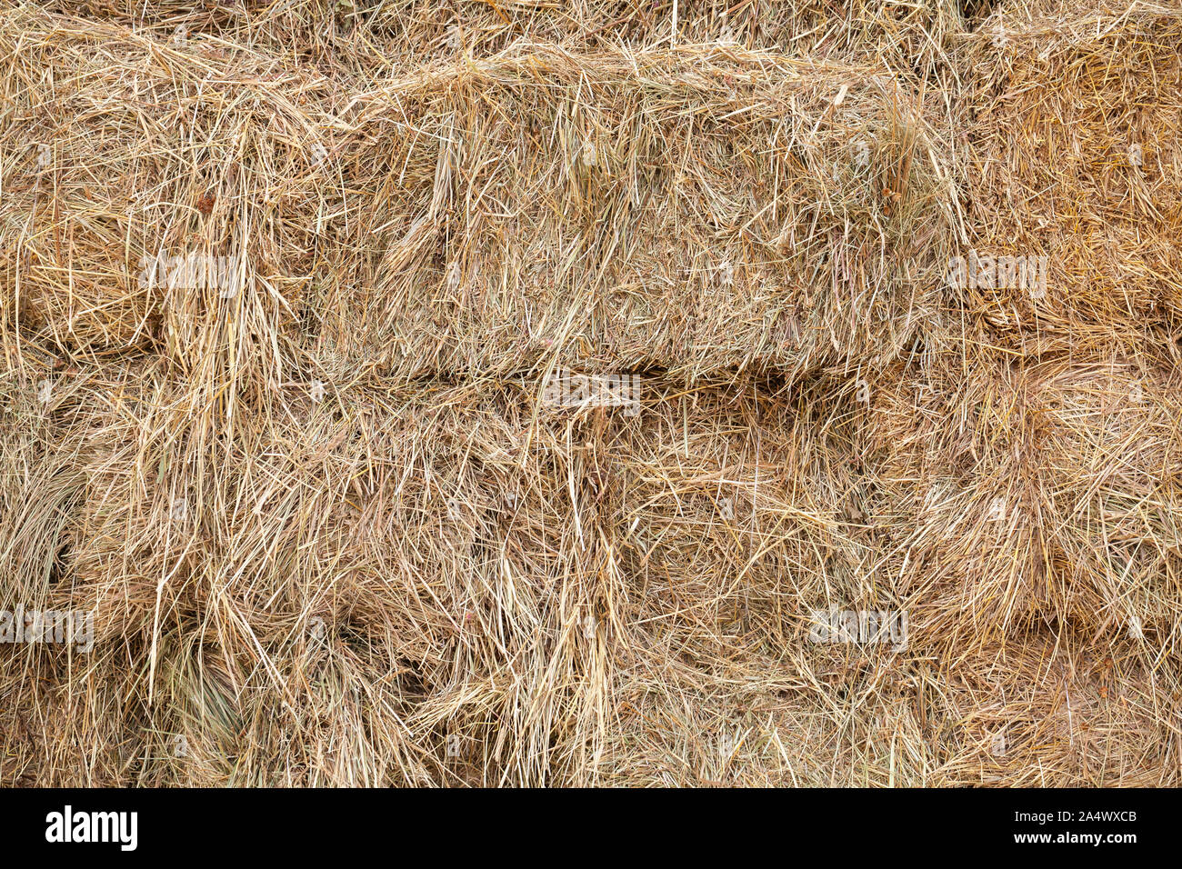 Gestapelte Heu blocks lag in der Farm Lagerung, Hintergrund Foto Textur Stockfoto