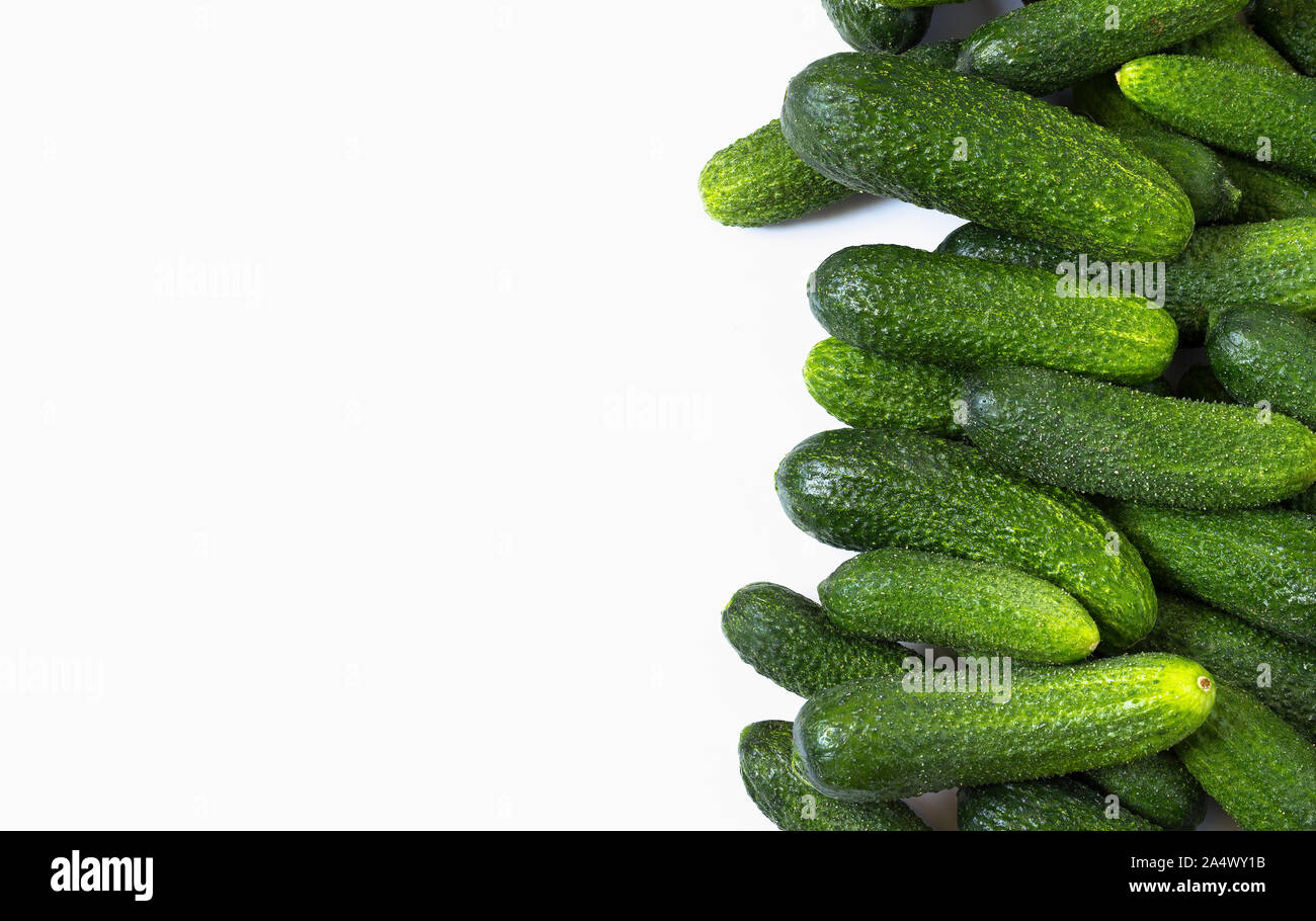 Frische junge Gurken auf weißem Hintergrund Stockfoto