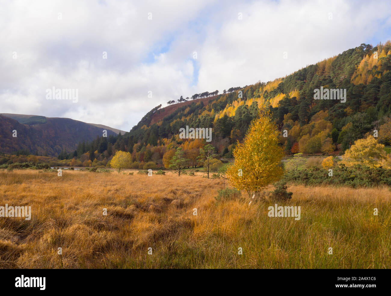 Glendalough Tal im Herbst, Glendalough, Wicklow Mountains National Park, County Wicklow, Irland Stockfoto