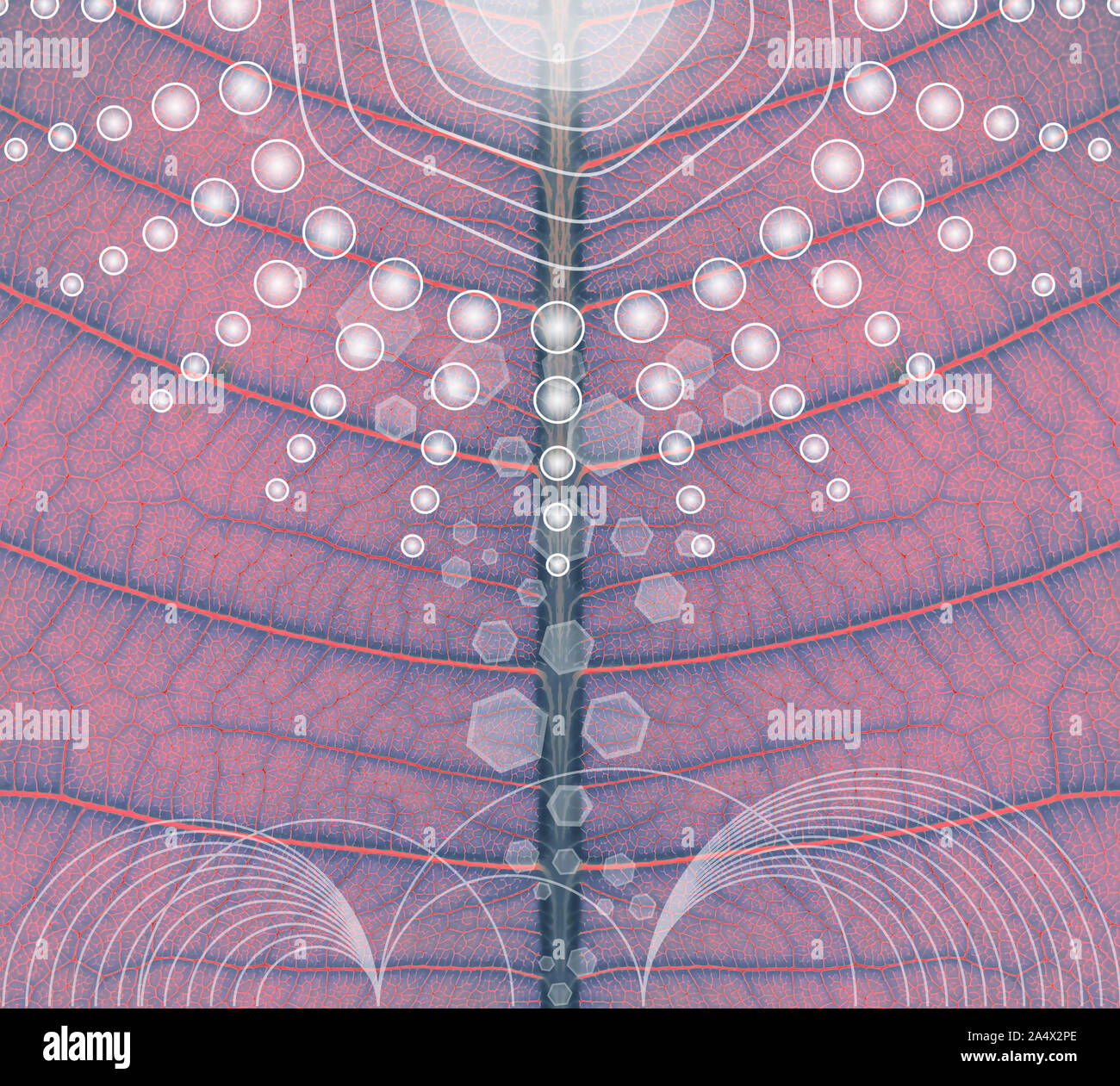 Künstliche Photosynthese - Bionik - Abstrakte Abbildung Stockfoto