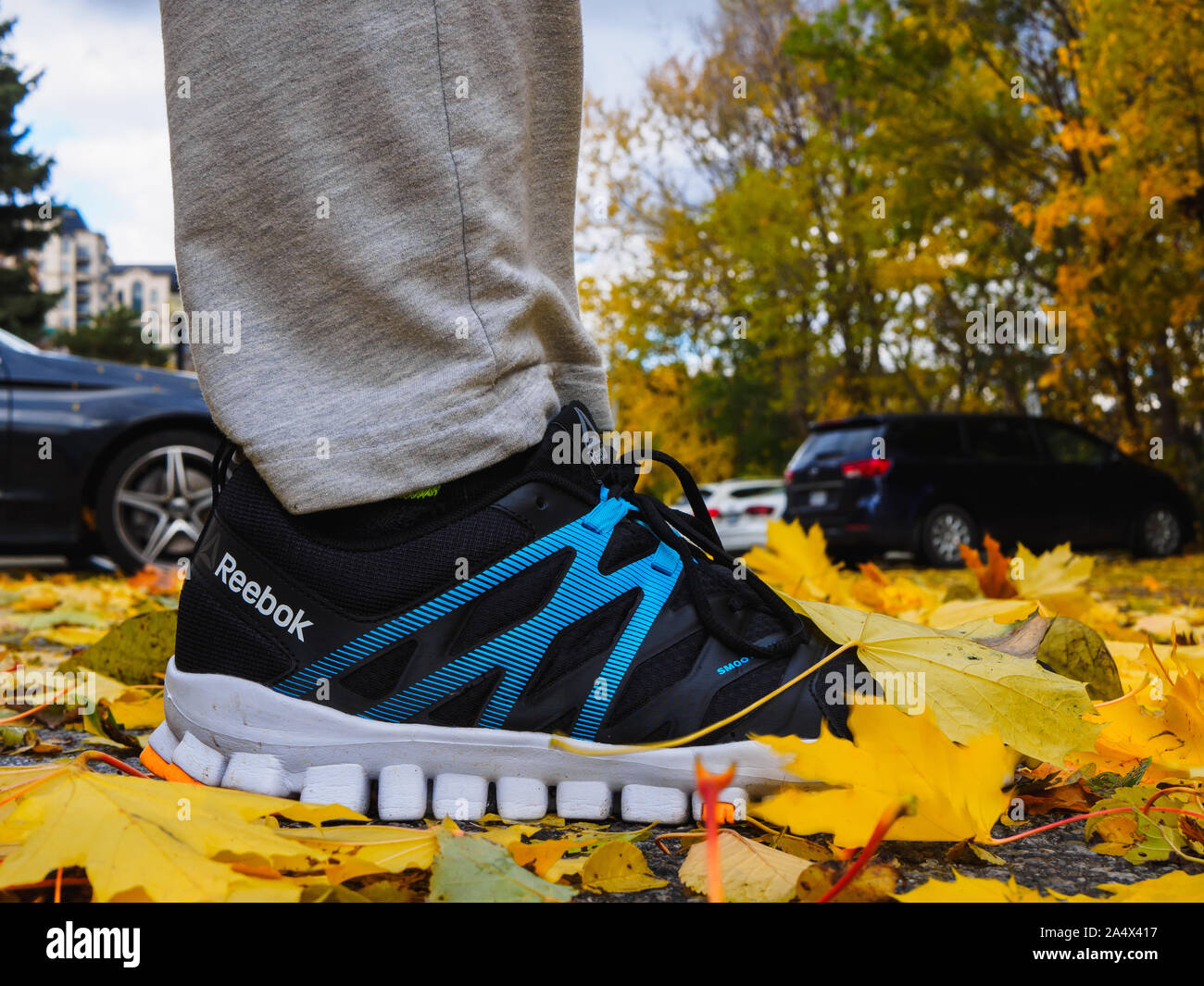 Reebok RealFlex 4 bequeme Schuhe im Freien im Herbst, durch gelbe Ahorn Blättern bedeckt. Stockfoto