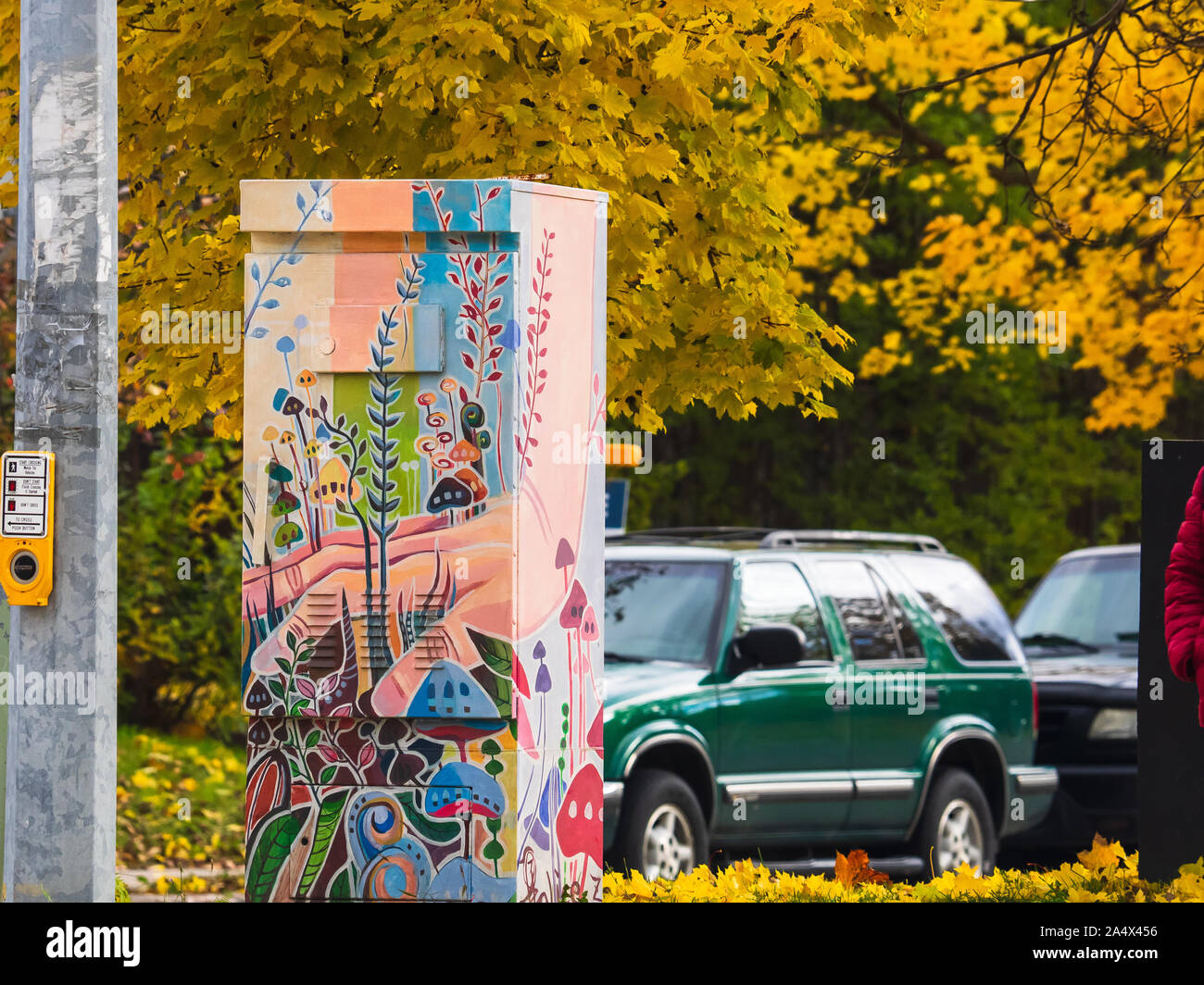 Von Hand bemalt Design auf eine Ampel in der Stadt Toronto im Herbst, mit gelbem Ahorn Blätter oben und unten. Stockfoto