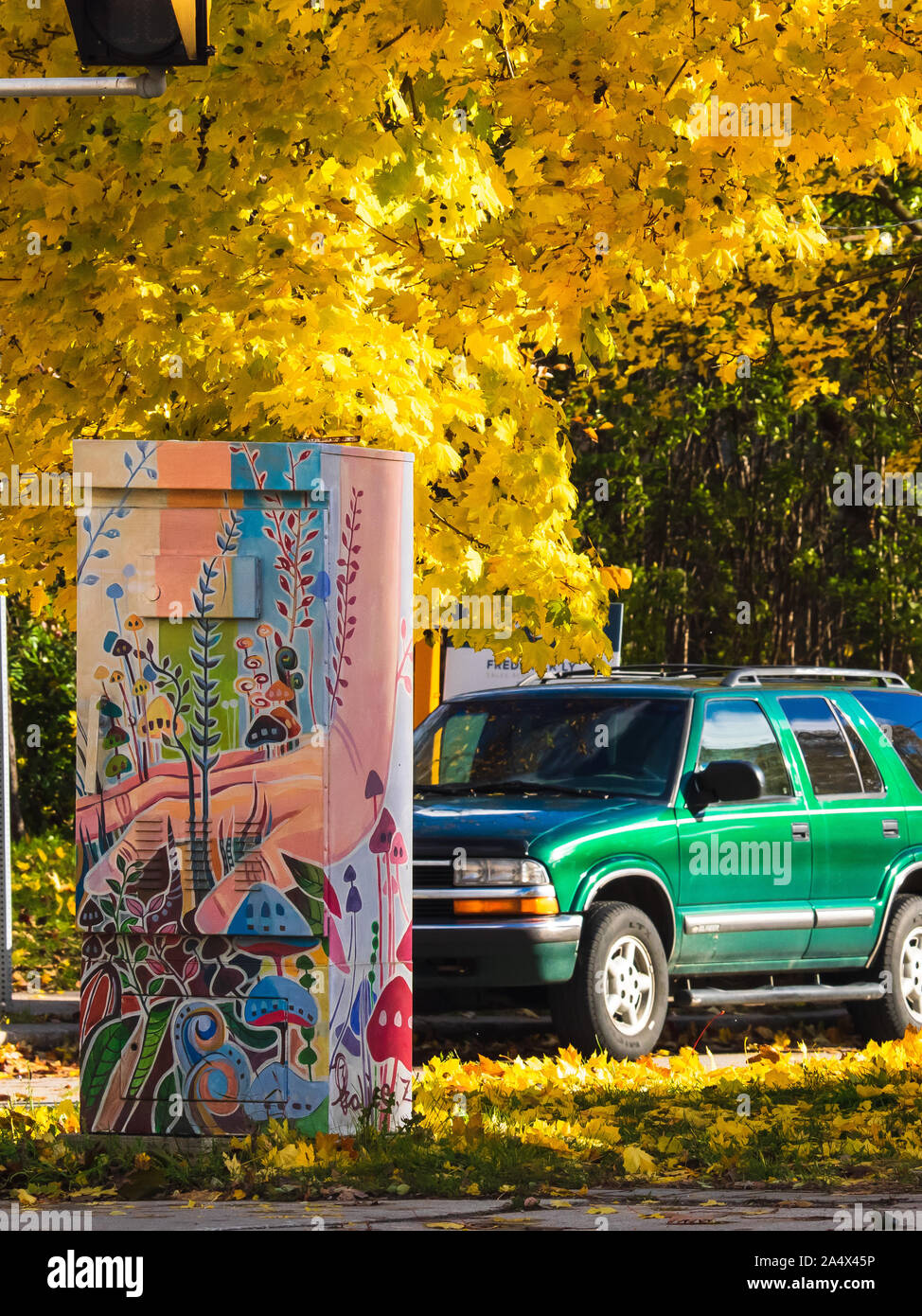 Eine bunte traffic signal box Hand mit dem Thema Hand ausgewachsenen Pflanzen gemalt. Im Herbst mit gelben Blatt ahorn Baum über es erschossen. Stockfoto
