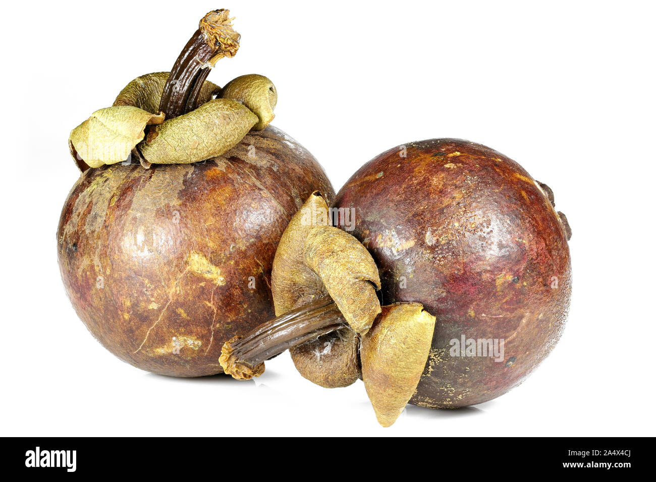 Mangosteen Früchte auf weißem Hintergrund Stockfoto