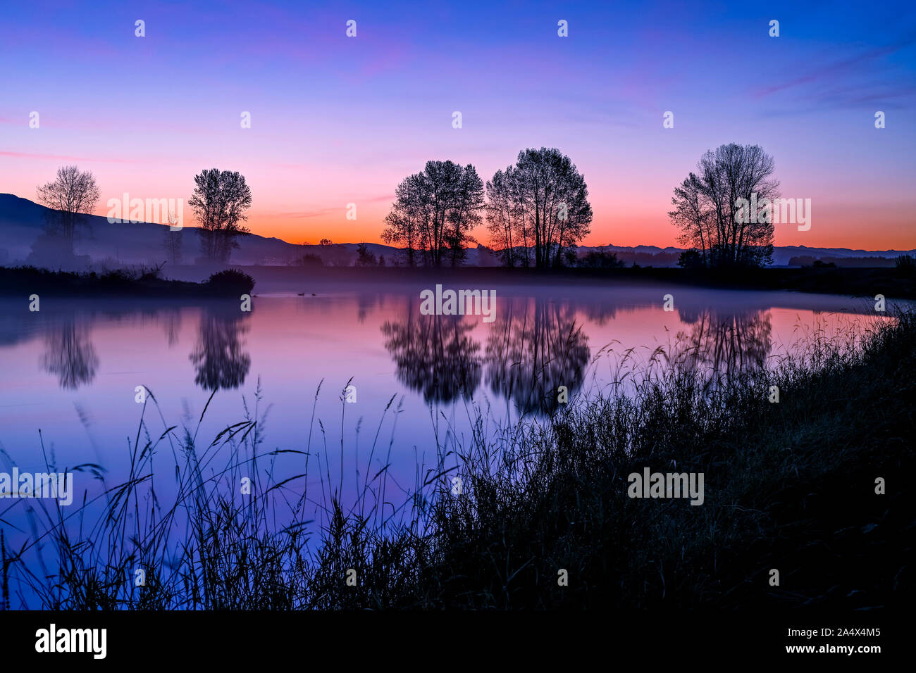 Vor dawn Licht, Alouette River, Pitt Meadows, British Columbia, Kanada Stockfoto