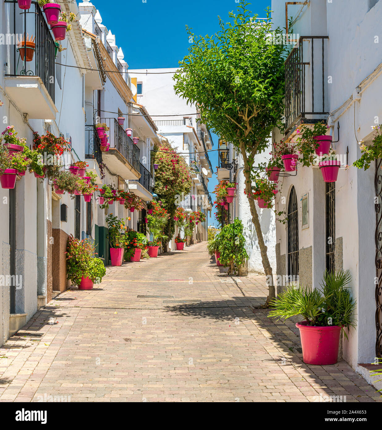 Die schönen Estepona, wenig und blühenden Stadt in der Provinz von Malaga, Spanien. Stockfoto