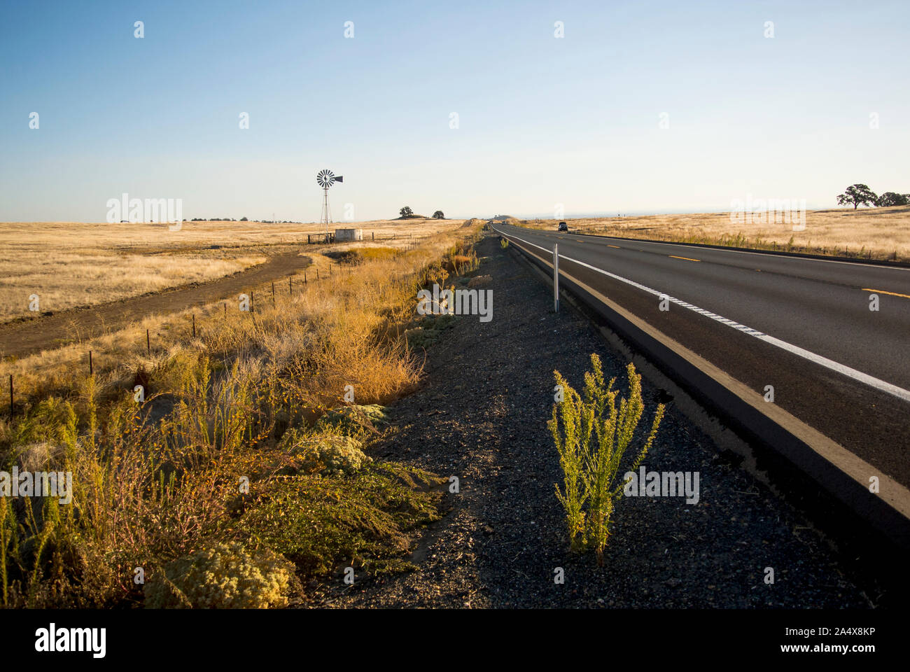 Eine Windmühle steht neben einer Landstraße durch den Sonnenaufgang beleuchtet. Stockfoto