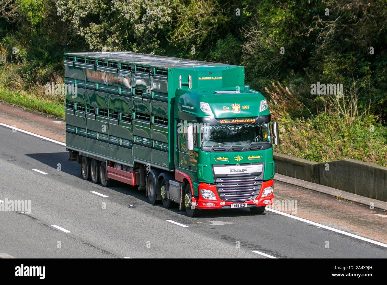Wm Armstrong Ltd . Longtown Viehzucht- und Transportgeschäft; Schwerlasttransporter, Viehtransporter, Tiertransporter, Fracht, DAF-Fahrzeugzustellung, Transportindustrie auf der M6 in Lancaster, Großbritannien Stockfoto