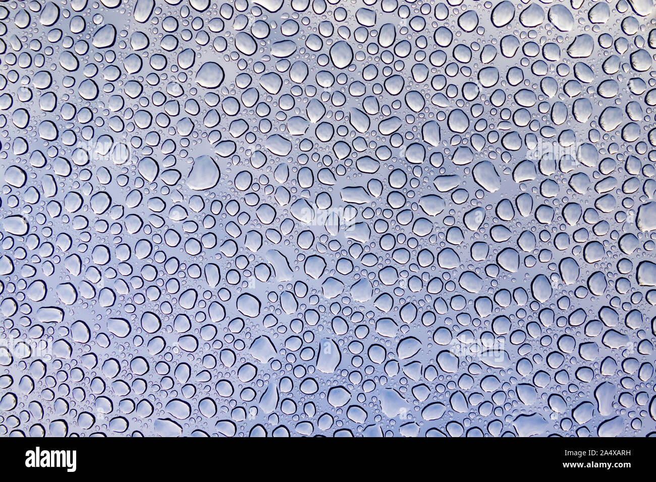 Blau Wassertropfen auf Glas Textur Hintergrund Stockfoto