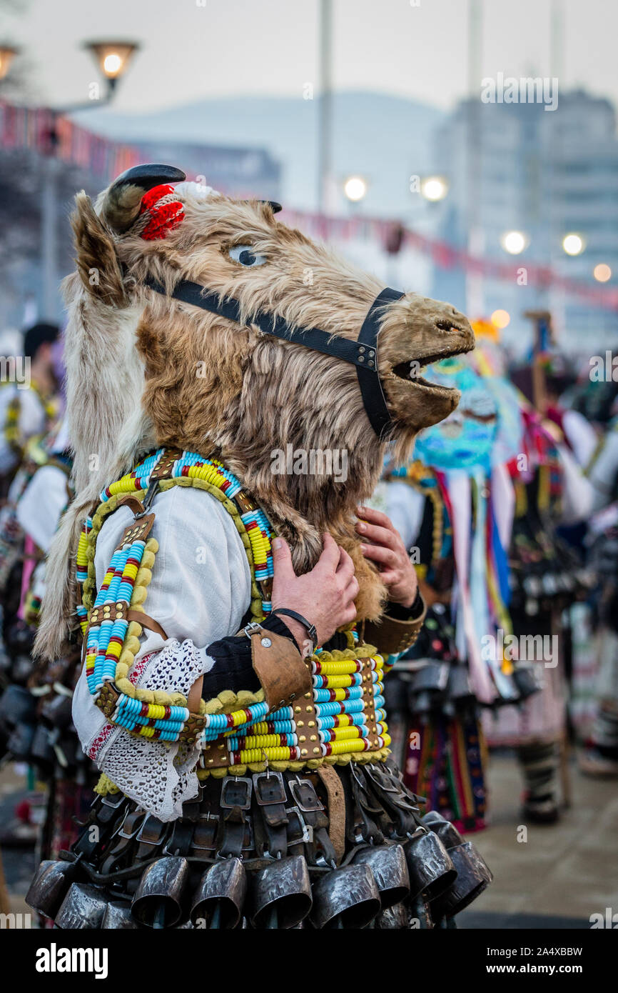Kukeri durchführen, Rituale, böse Geister an surva Festival in Varna in Bulgarien erschrecken. Die Menschen sind aufgerufen, Kukeri. Pferd Maske. Stockfoto